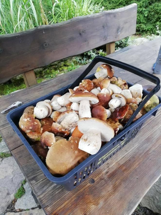 Chata Venda Lipno nad Vltavou Luaran gambar